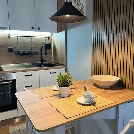 Cozy Boutique In Apartamento